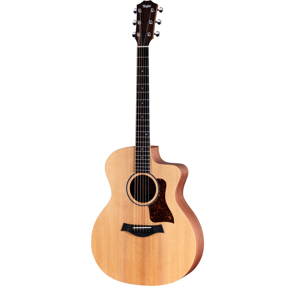 Taylor 14ce