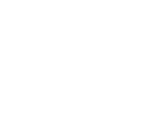 Martin Guitars