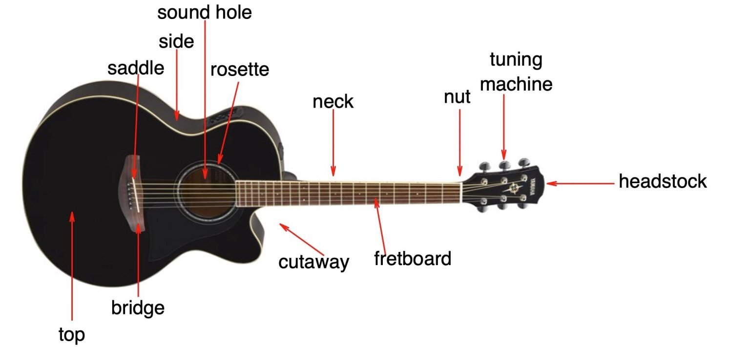beginner guitar chart