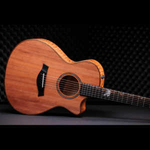 Taylor custom guitar
