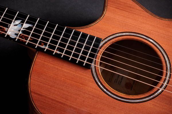 Taylor custom amber tide guitar close top