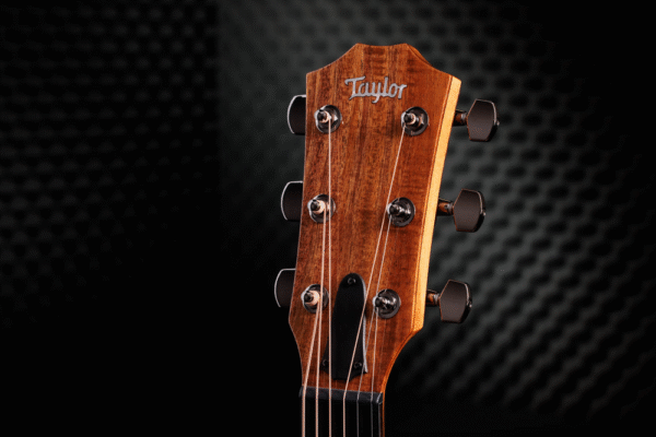 Taylor custom amber tide guitar headstock