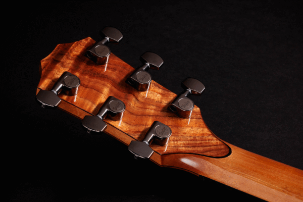 Taylor custom amber tide guitar headstock back